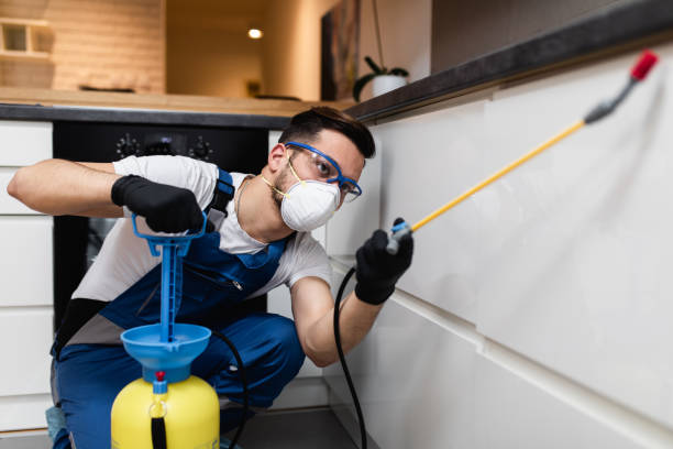 Best Cockroach Control Services  in South Deerfield, MA