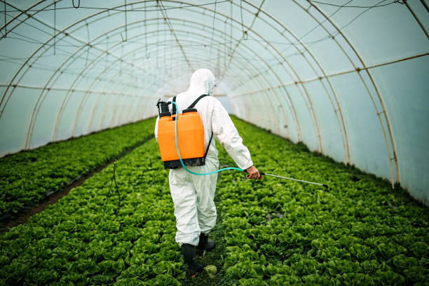 Best Mosquito Control Services  in South Deerfield, MA