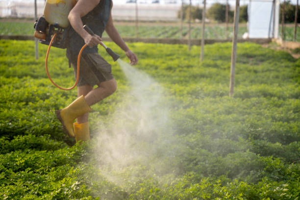 Best Insect Control  in South Deerfield, MA