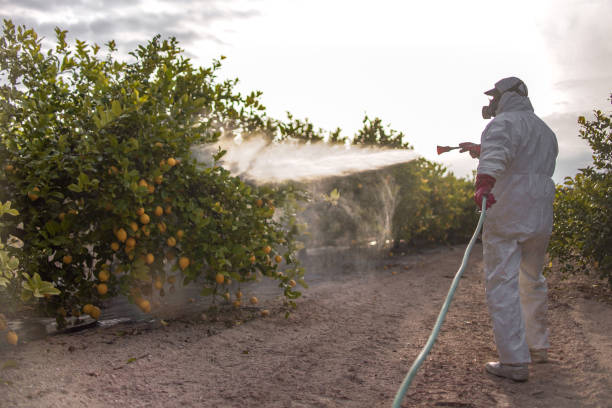 Best Commercial Pest Control Services  in South Deerfield, MA