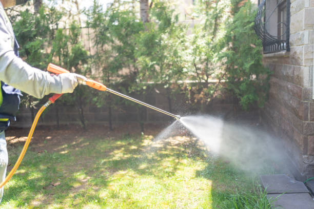 Best Best Pest Control Companies  in South Deerfield, MA