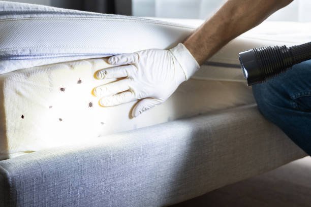 South Deerfield, MA Pest Control Company