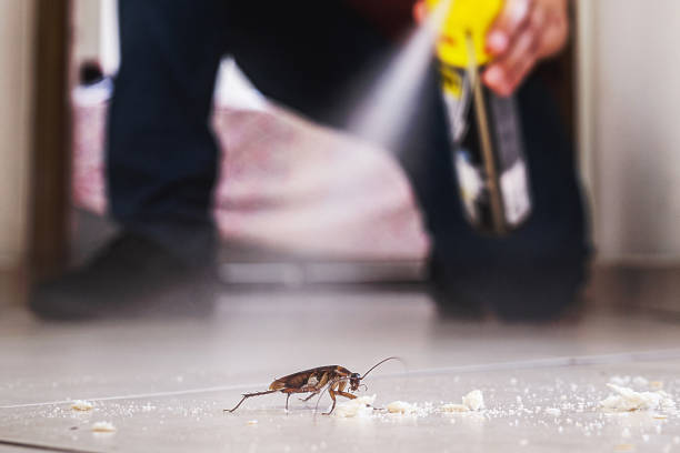 Pest Prevention Services in South Deerfield, MA